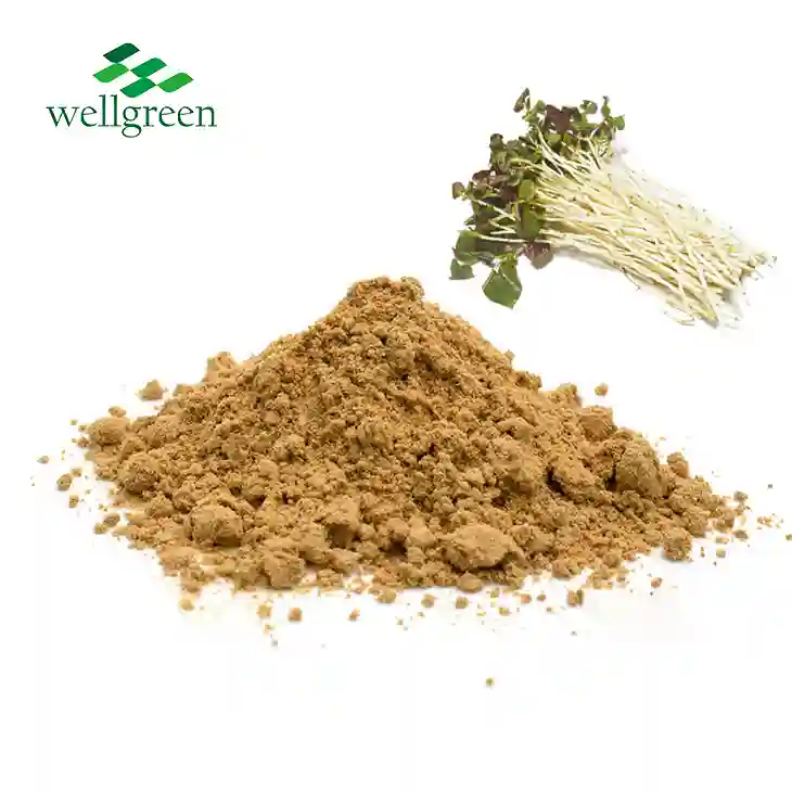 Houttuynia Cordata Extract